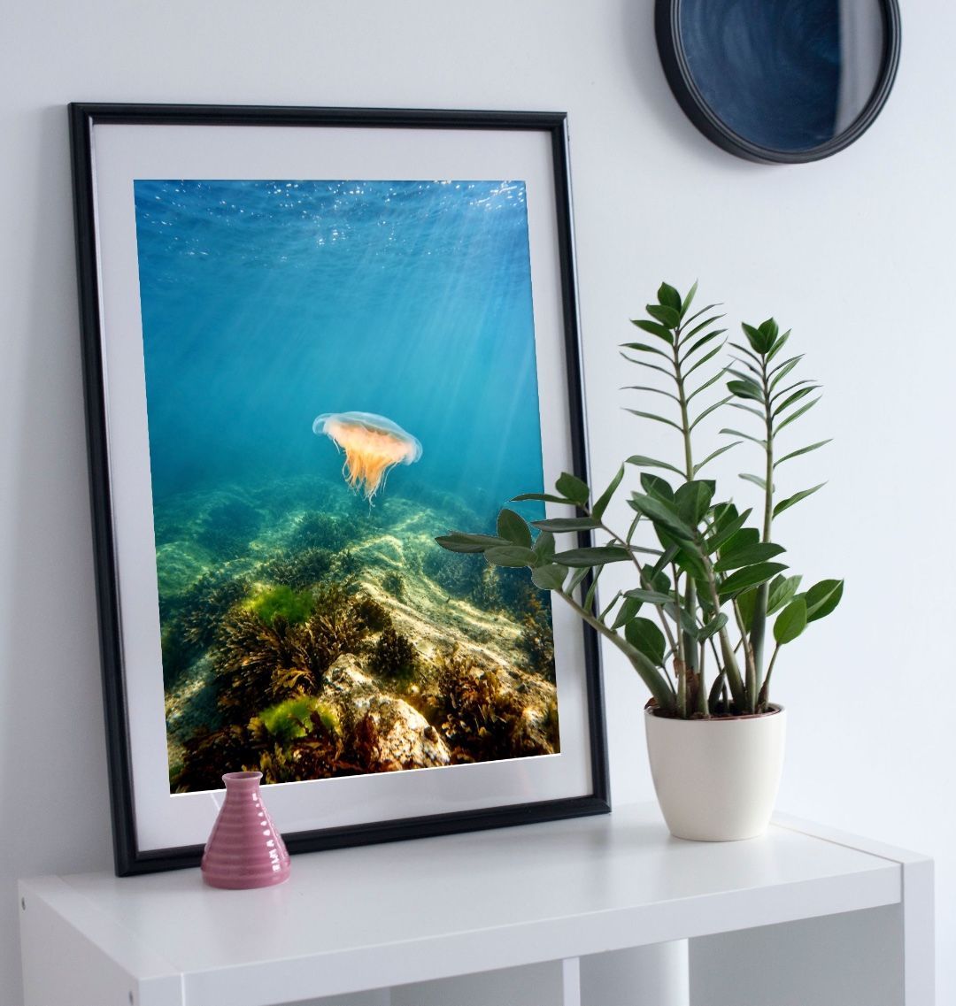 Art Collection: Meet the Locals
